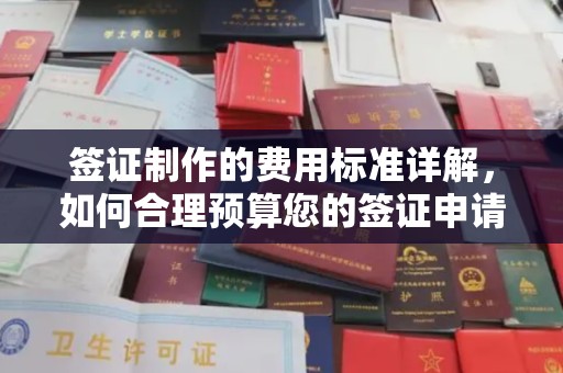 汝州签证制作的费用标准详解，如何合理预算您的签证申请成本